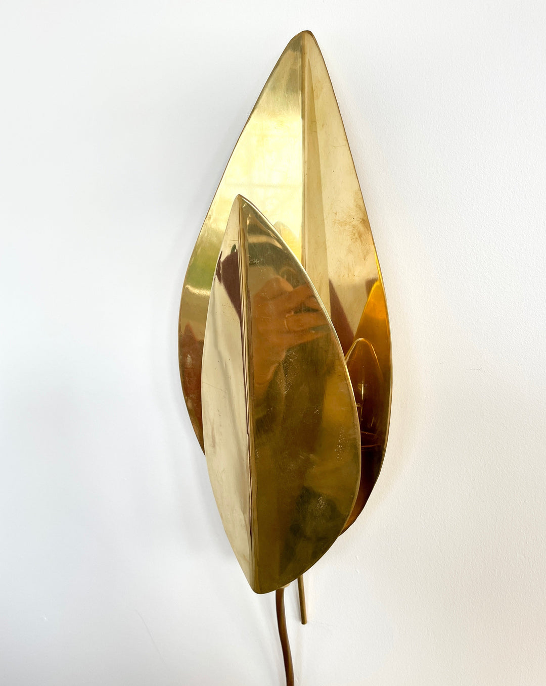 Brass Tomasso Barbi wall light with leaf motif and aged patina.